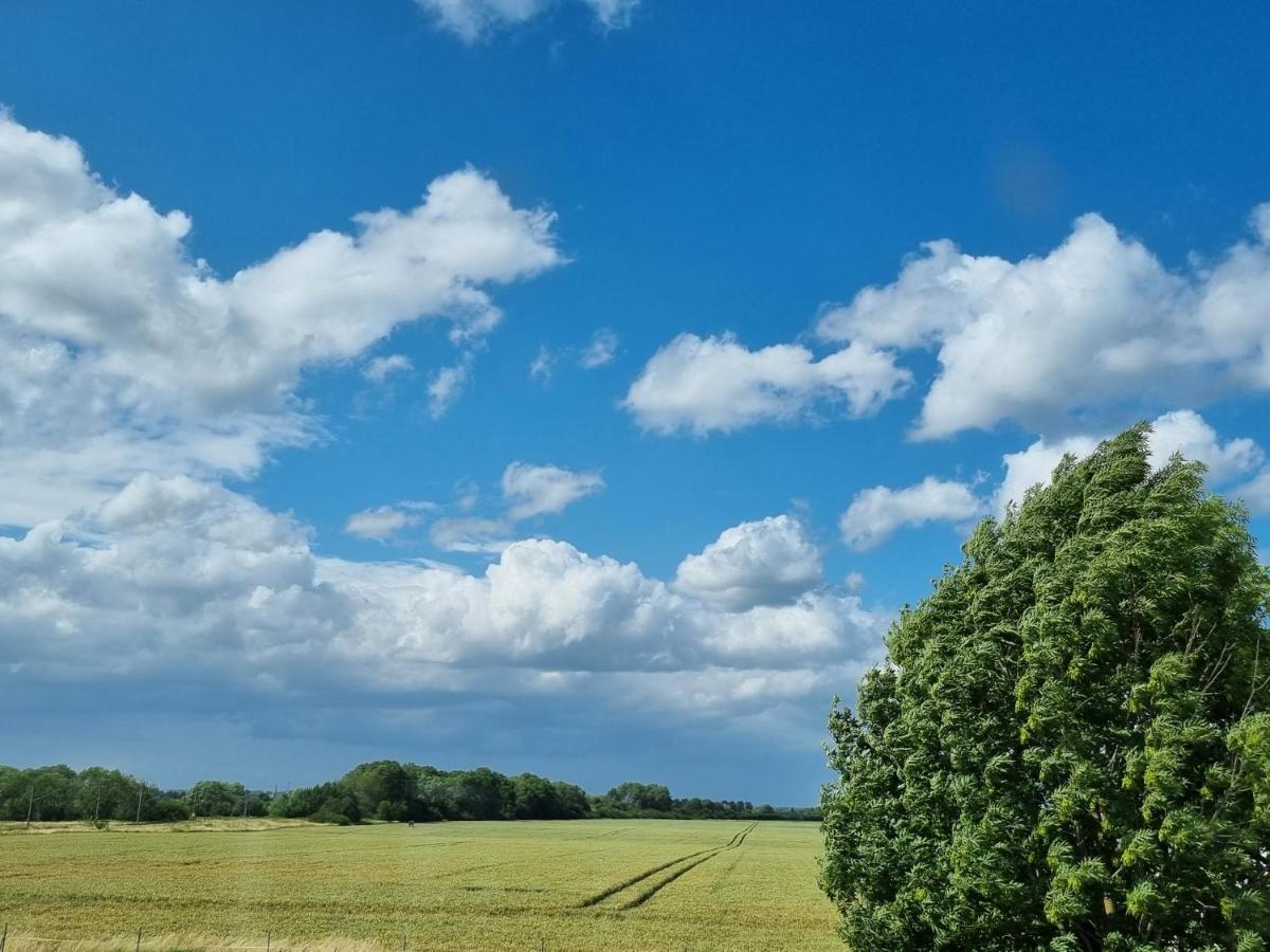 Scheune In Ostseenaehe Auch Mit Pferd Ferienhaus